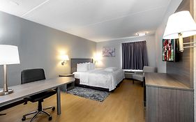 Red Roof Inn Plus Boston - Mansfield - Foxboro